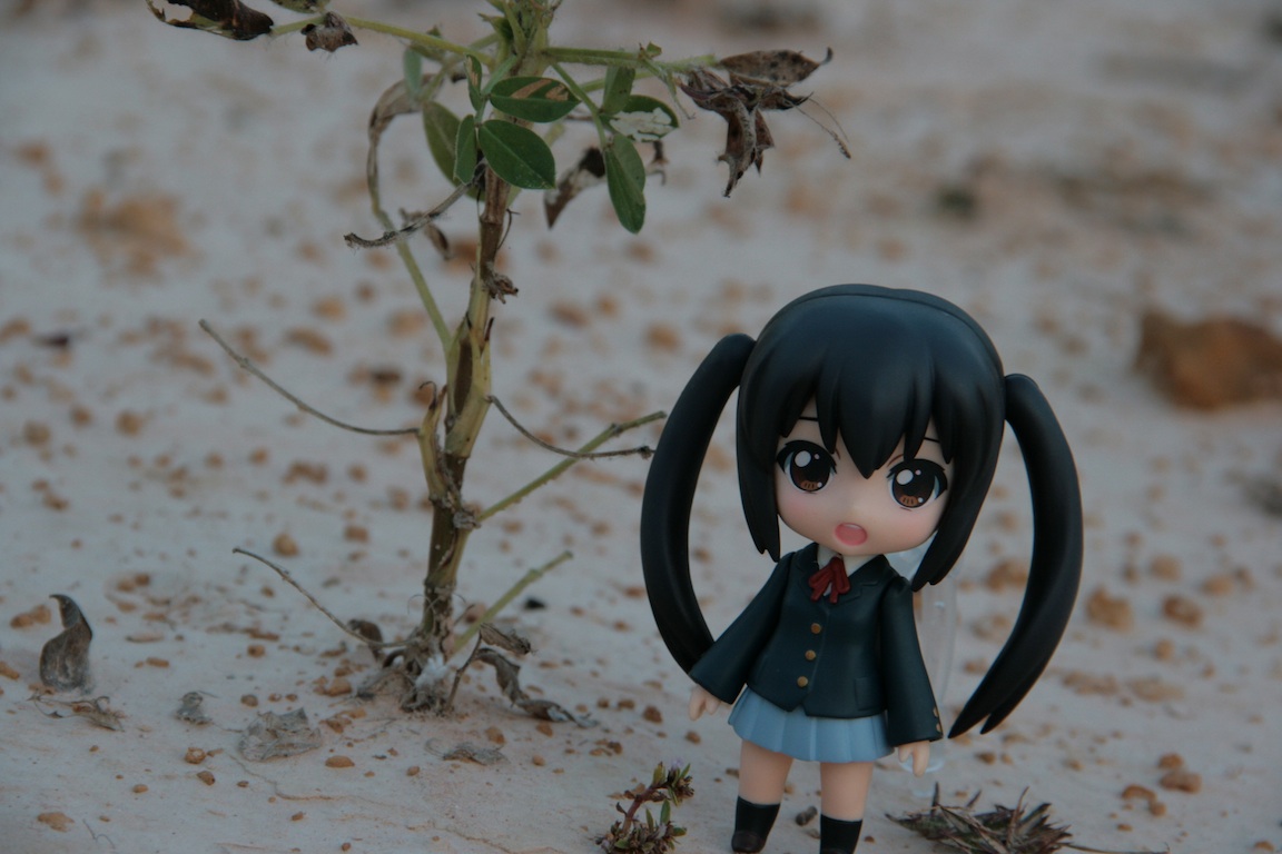 146: Christmas Eve on the land