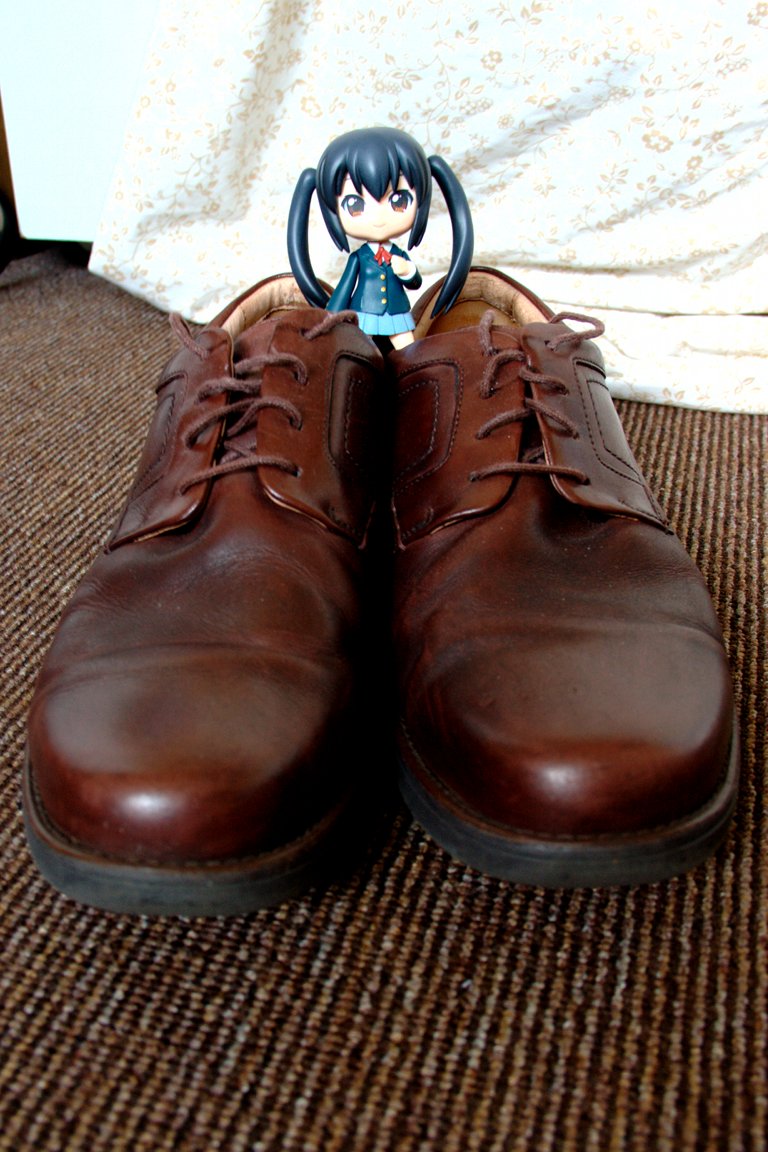 219: In another person’s shoes