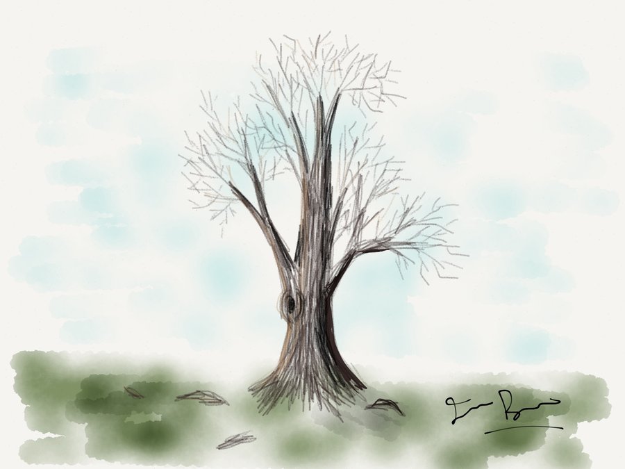 A rough study of twigs