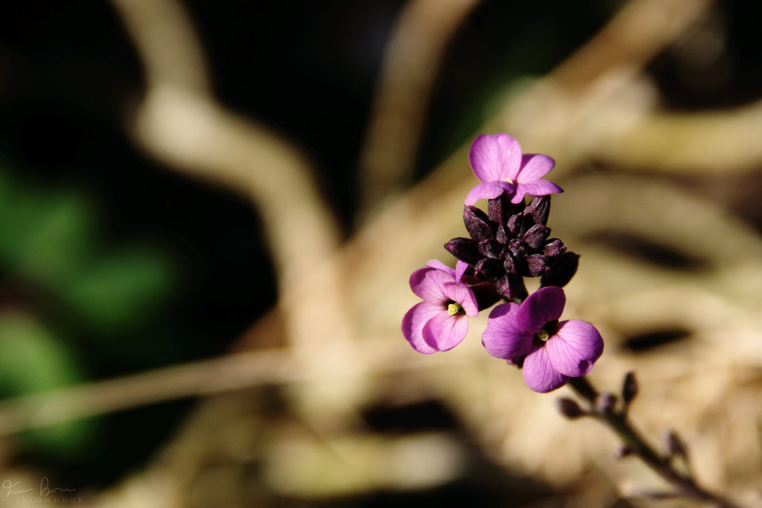 All the small things