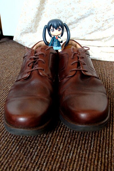 219: In another person’s shoes