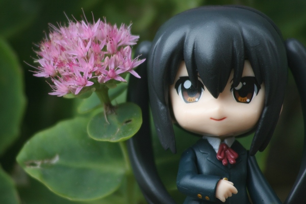 57: Pretty as a postcard