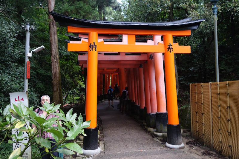 Torii